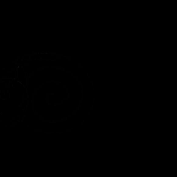 Meet your Posher, Noella - Picture 2 of 2